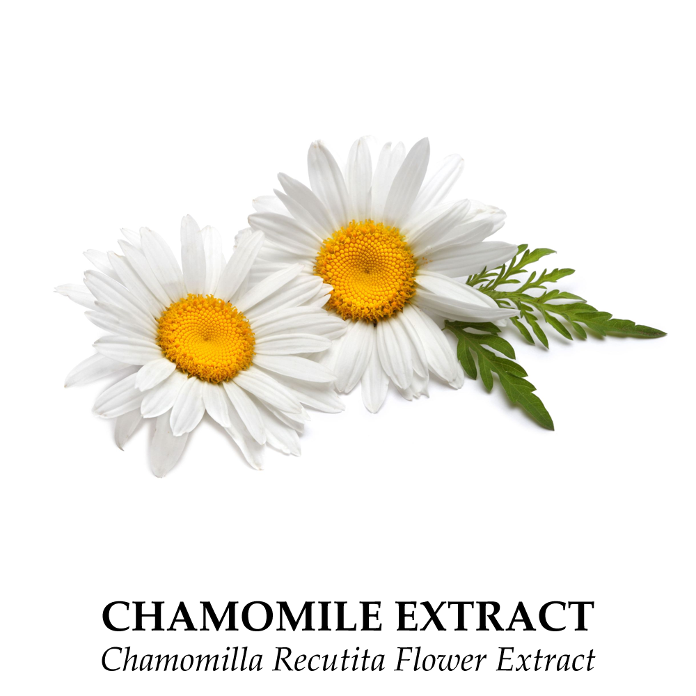 Ingredient Chamomilla Recutita Flower Extract