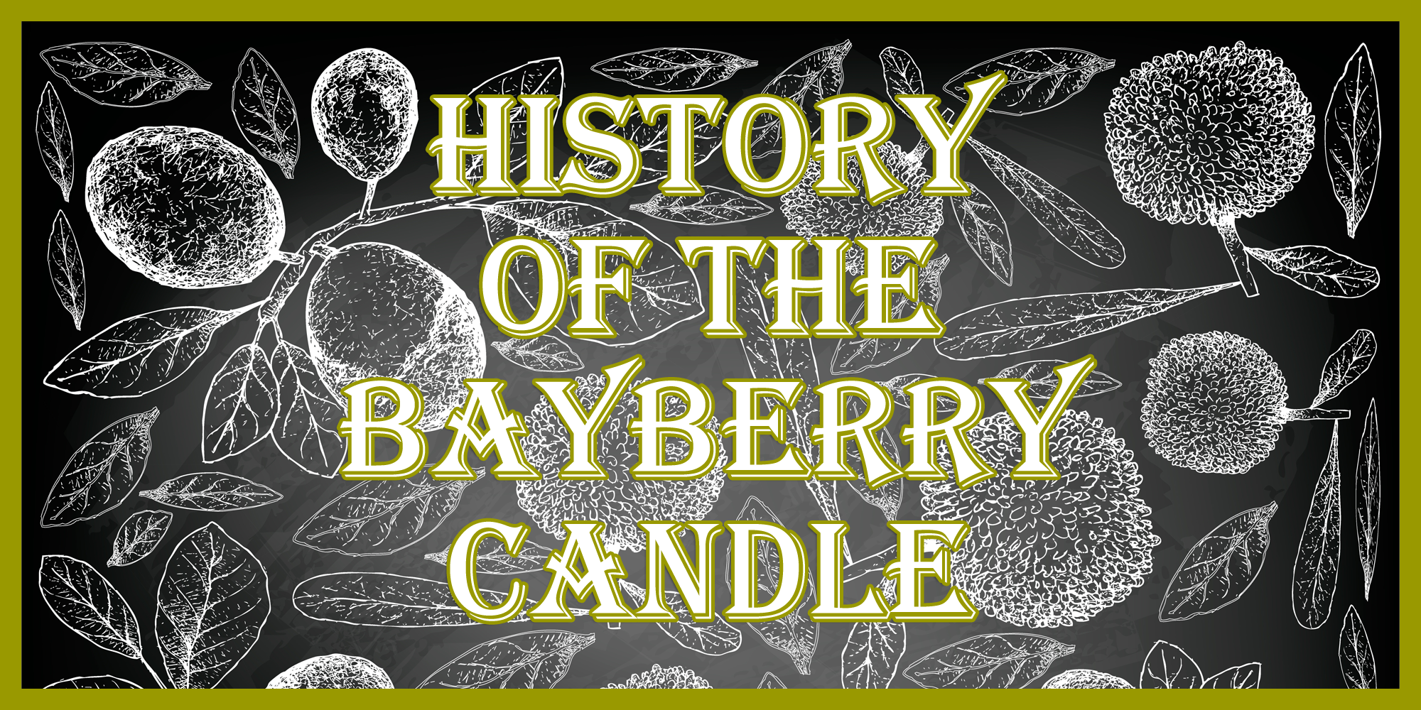 OverSoyed Fine Organic Products - Bayberry Artisan Hand Poured Soy Candles