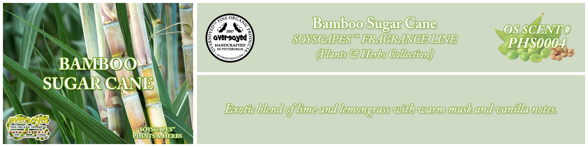 Bamboo Sugar Cane Handcrafted Products Collection