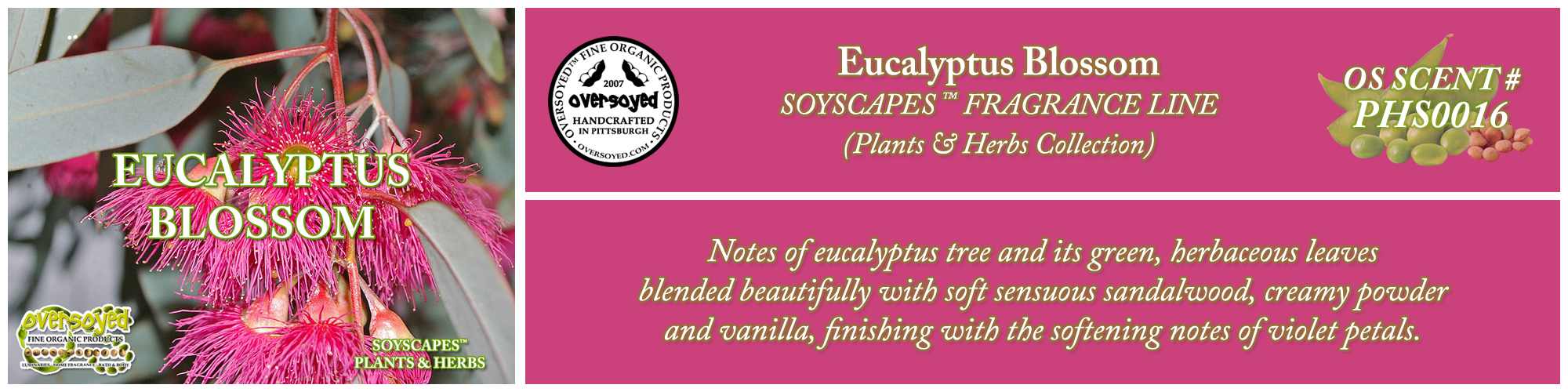 Eucalyptus Blossom Handcrafted Products Collection