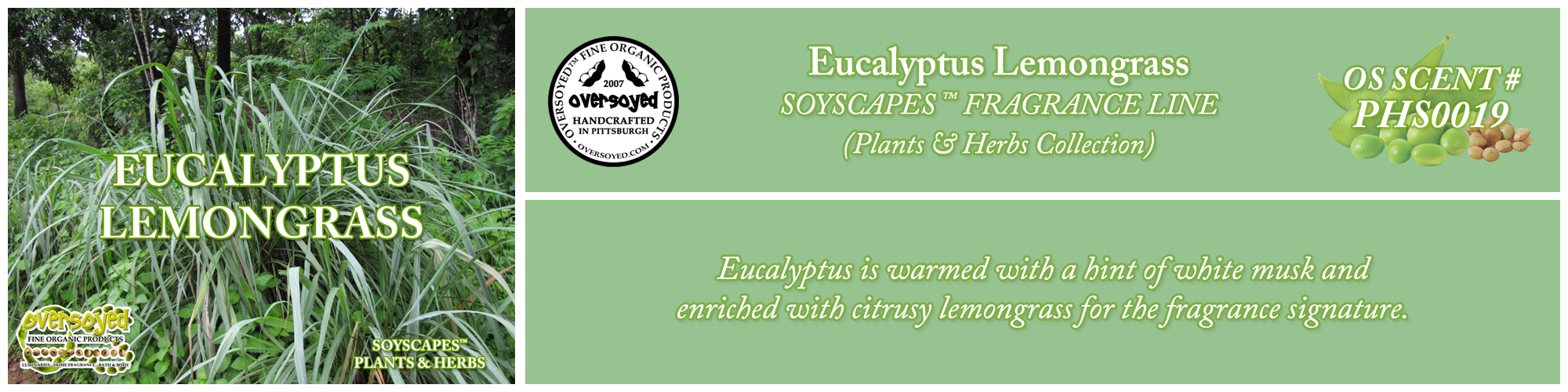 Eucalyptus Lemongrass Handcrafted Products Collection