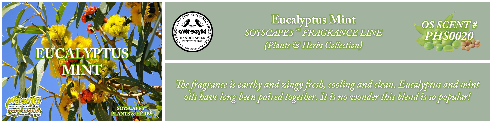Eucalyptus Mint Handcrafted Products Collection