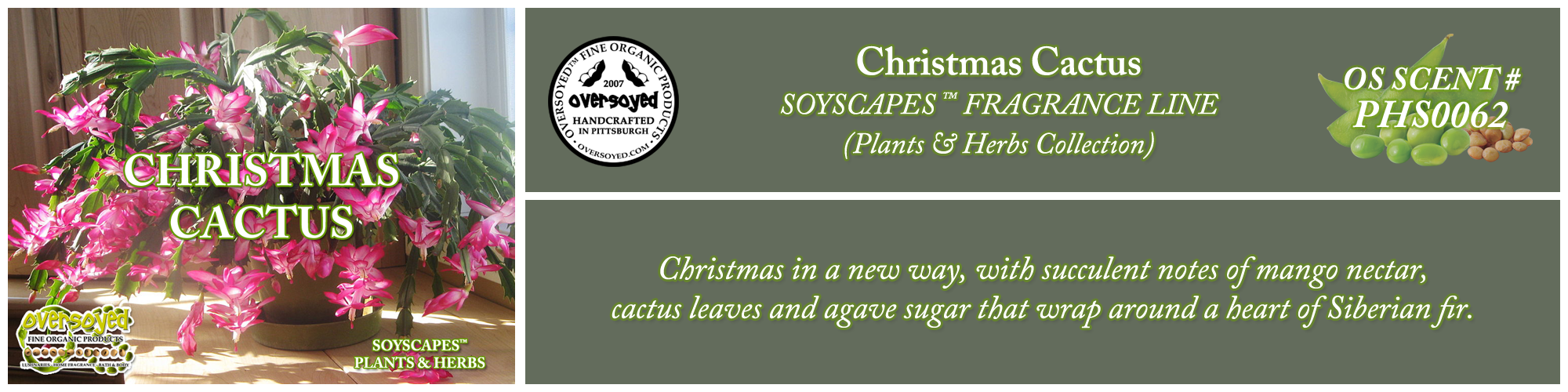 Christmas Cactus Handcrafted Products Collection