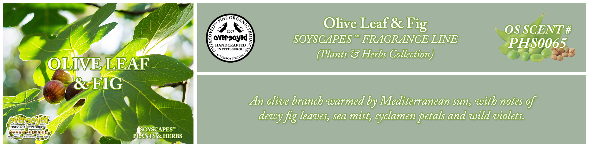 Olive Leaf & Fig Handcrafted Products Collection