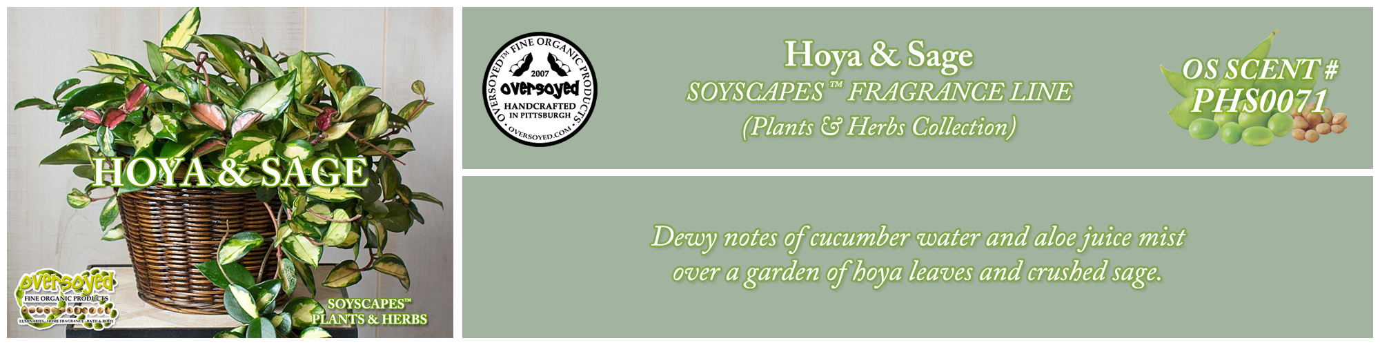 Hoya & Sage Handcrafted Products Collection