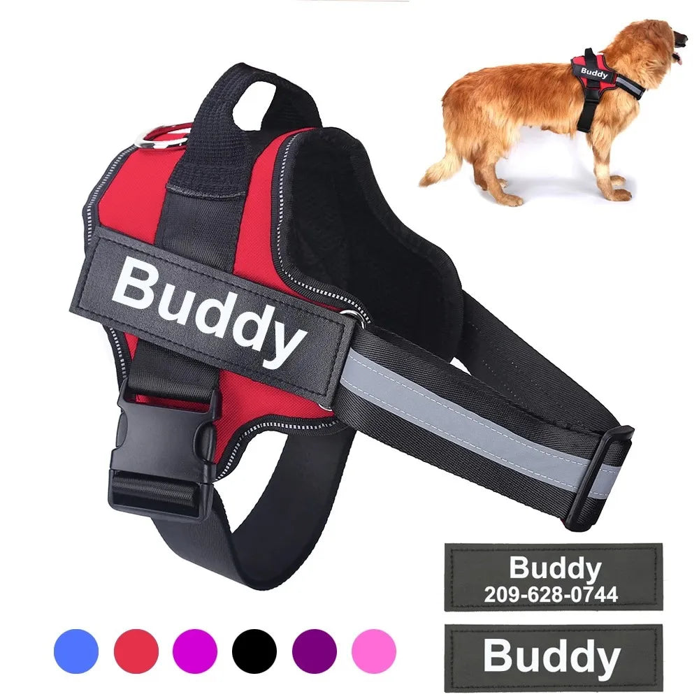 thekevdawg cover image