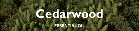 Cedarwood Essential Oil