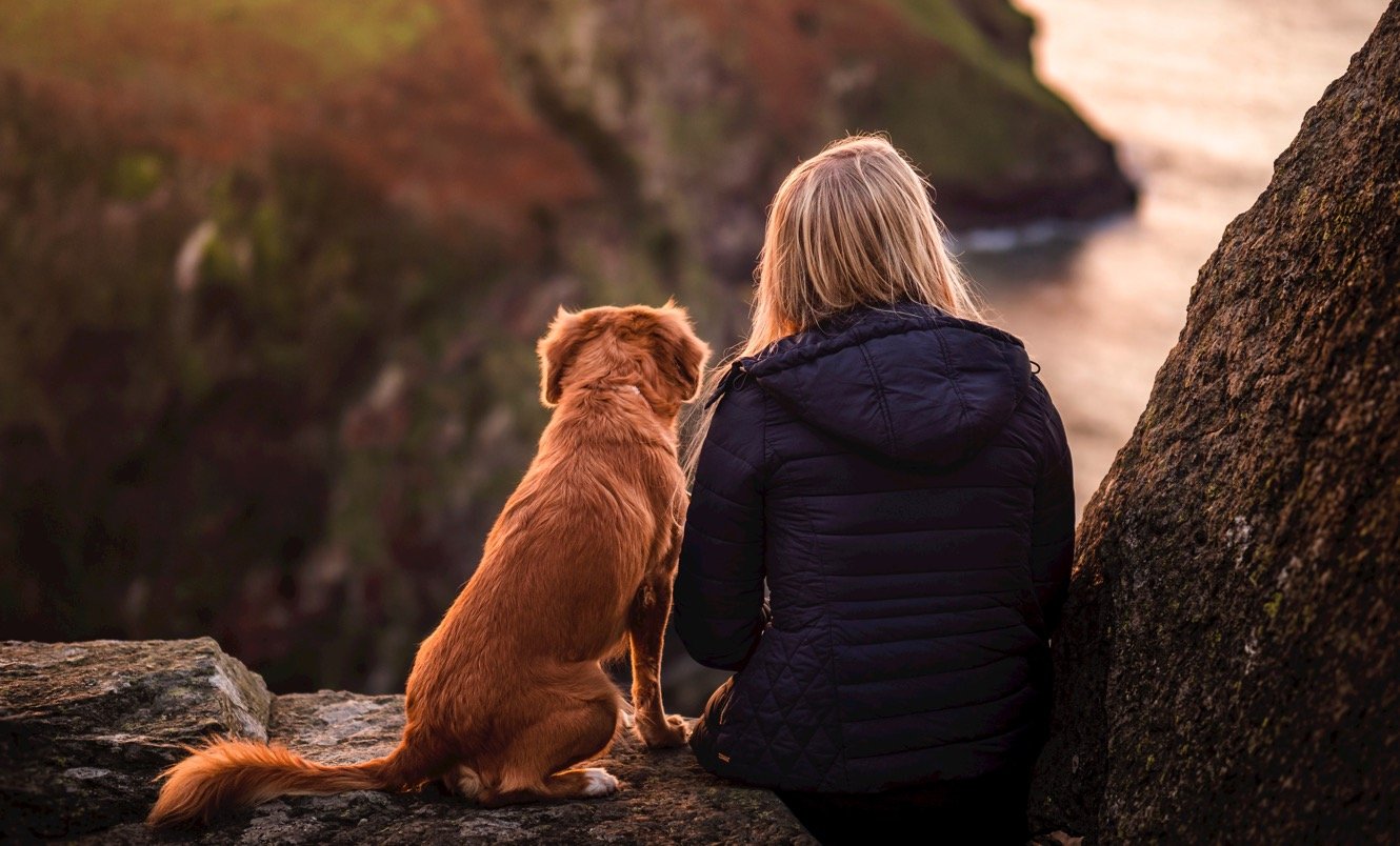Eine Frau und ihr Hund bewundern eine Aussicht vom Südwestküsteweg