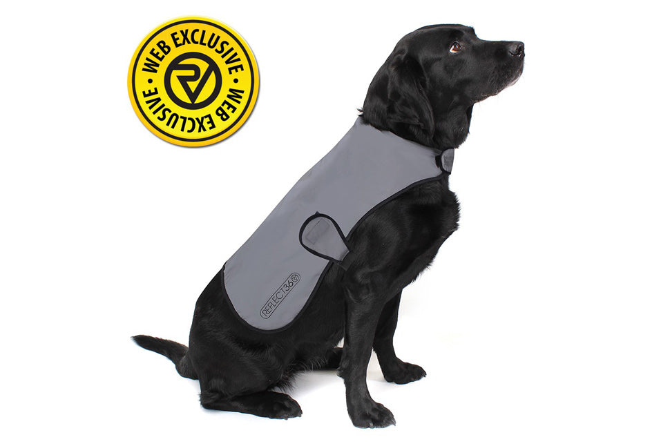 Web Exclusive Proviz reflektiert 360 Hundejacke