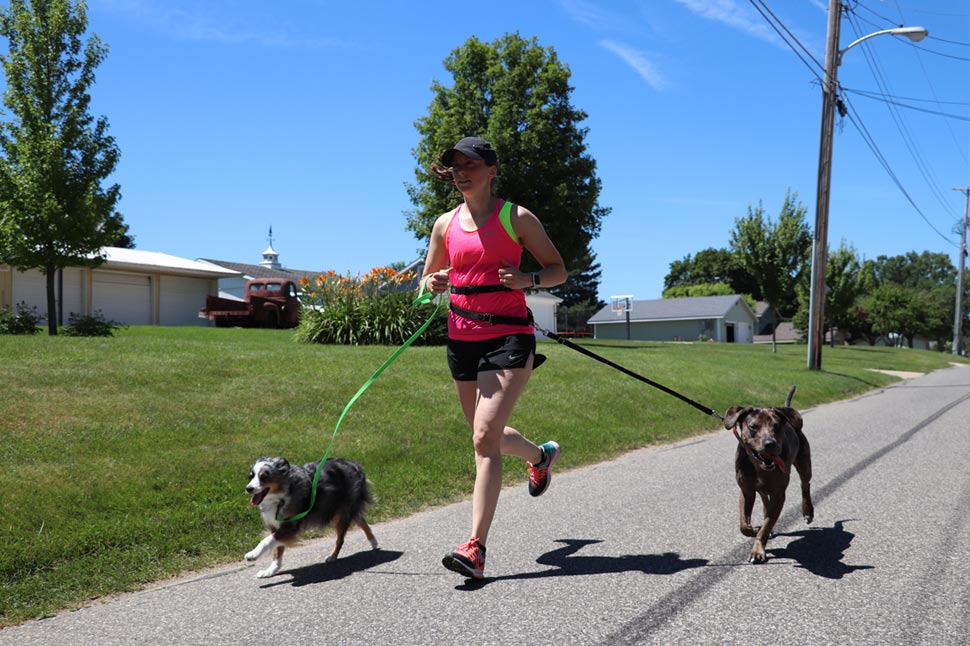 Der erfahrene Hund Jogger Allison läuft mit ihren Welpen Patch und Denver