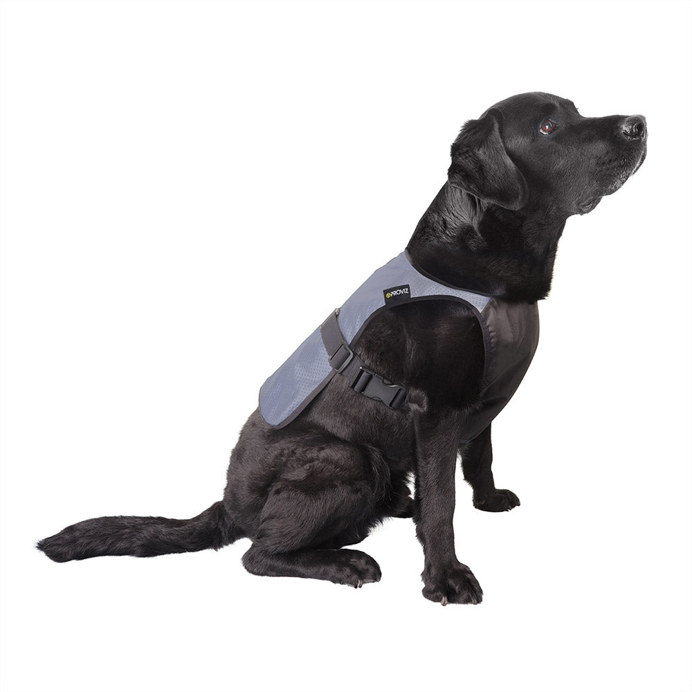 An image of Fully Reflective Explorer Dog Vest - Unisex - 2XL - Proviz - Reflect360