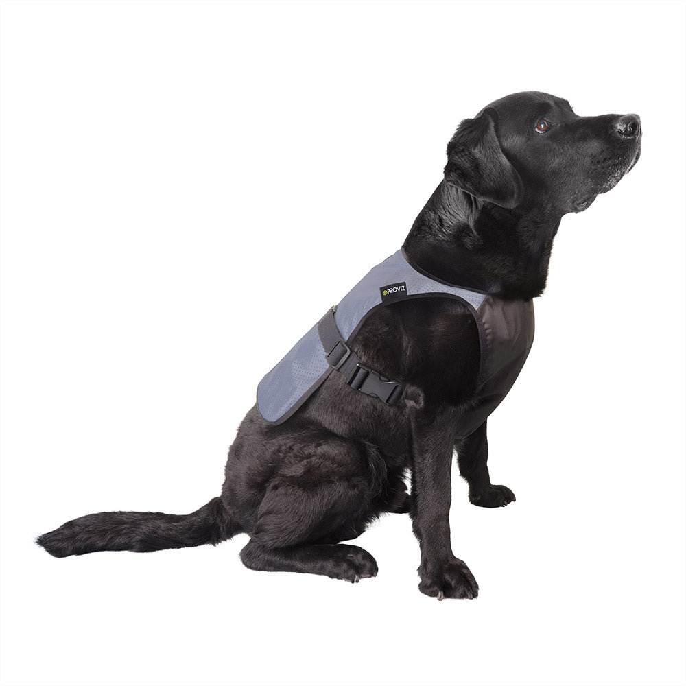Fully Reflective Explorer Dog Vest