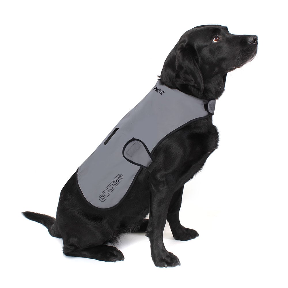 Reflective Waterproof Fleece Lined Dog Coat