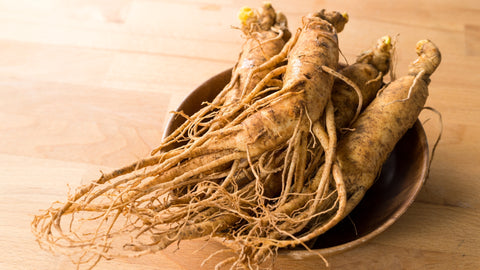 ginseng herb