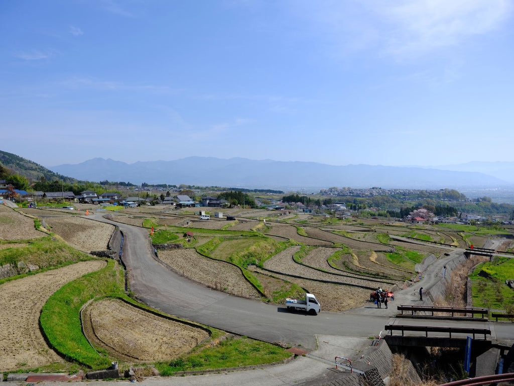 ドメーヌヒデ、南アルプス市中野地区の棚田の風景