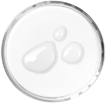Gly.png.webp__PID:056a687b-5210-4ceb-92f8-6aa5ba706495