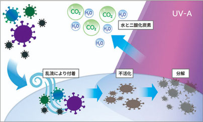 ALCUREの光触媒＋UVの力