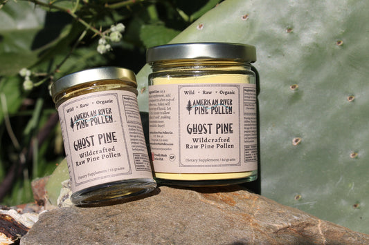 Homegrown Superfood – Wildcrafted Pine Pollen