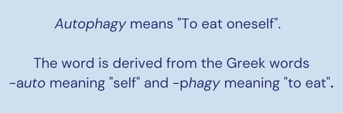 definition of autophagy