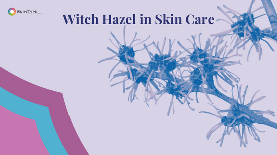 Witch Hazel in Skin Care