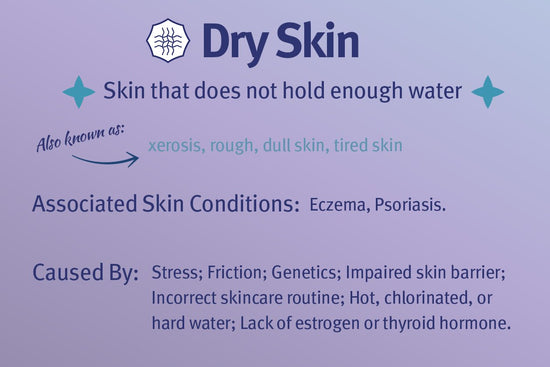 Dry Skin Type