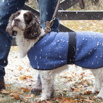 dog walking clothing uk