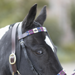 Horse Browband