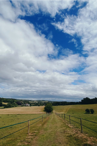 Surrey Countryside