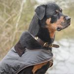 Manteau pour chien en cire