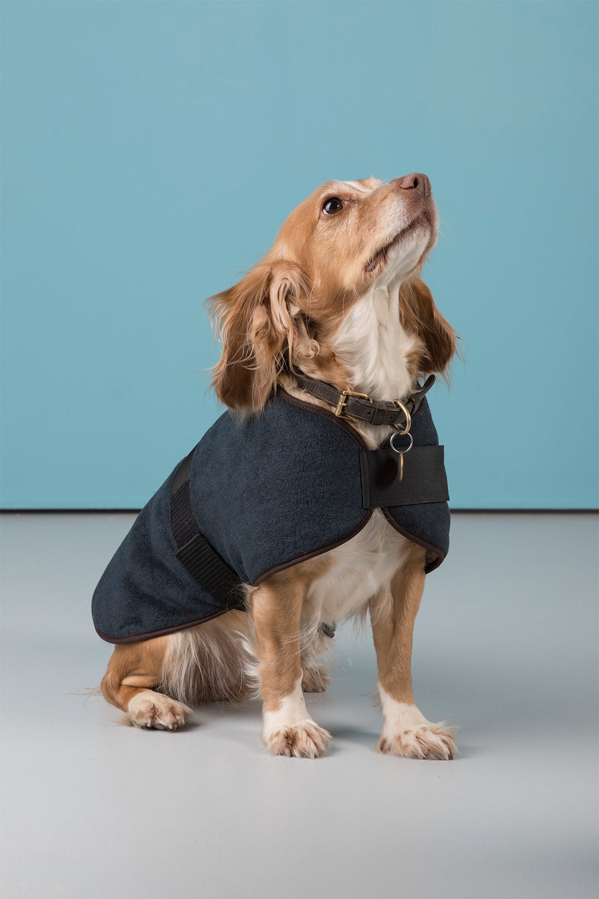 Fleece Dog Coat UK | Dog Fleece | Rydale