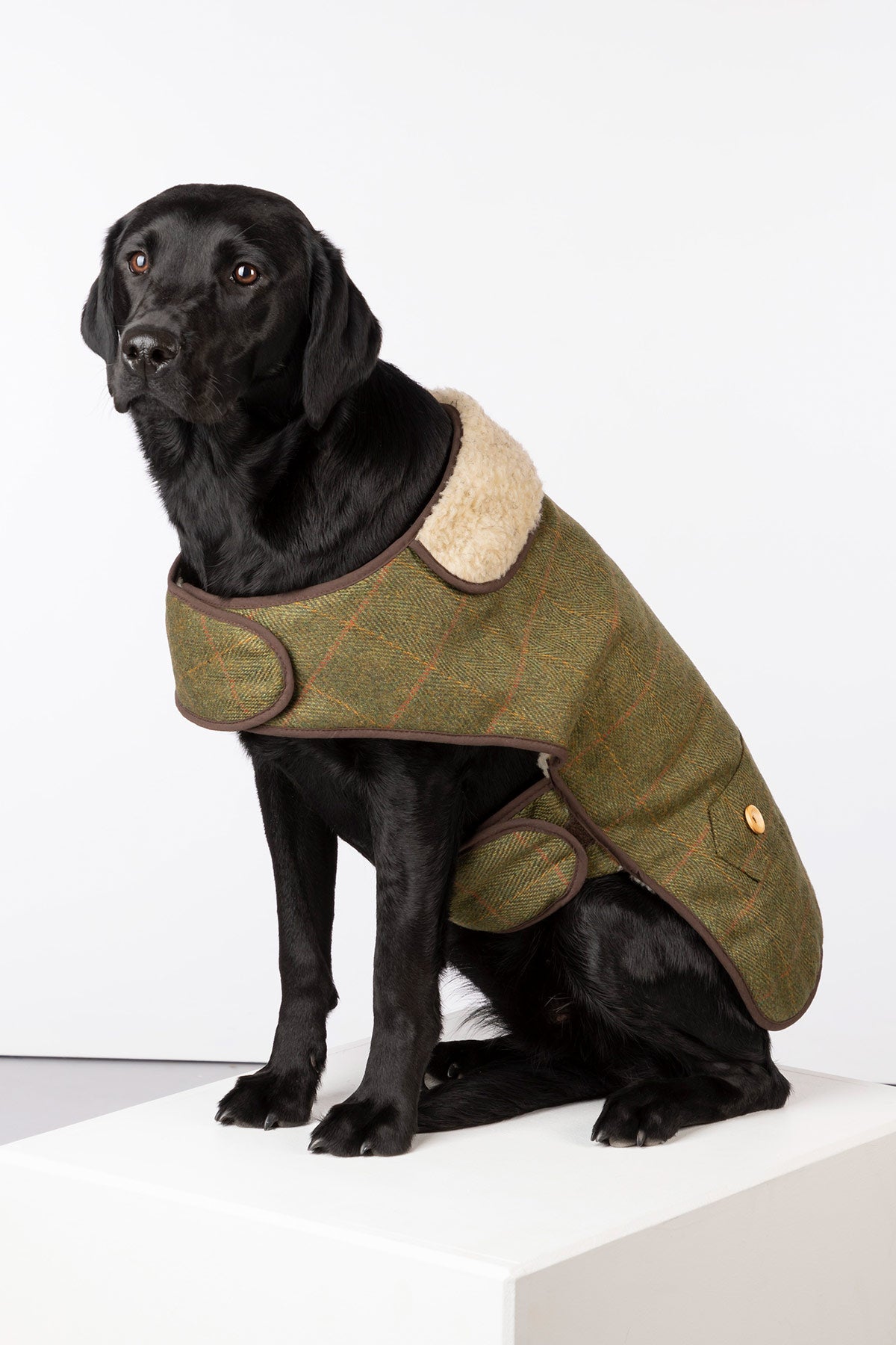Tweed hundefrakke uk | tweed | rydale