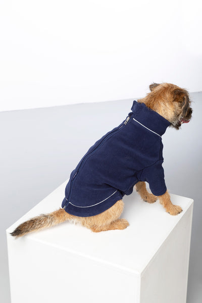 dog jumper xl