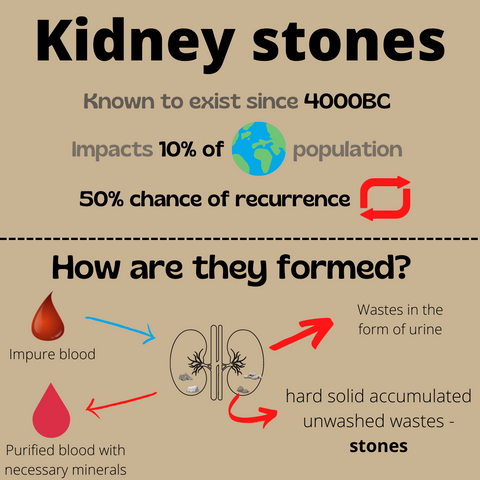 Details of formation of kidney stones