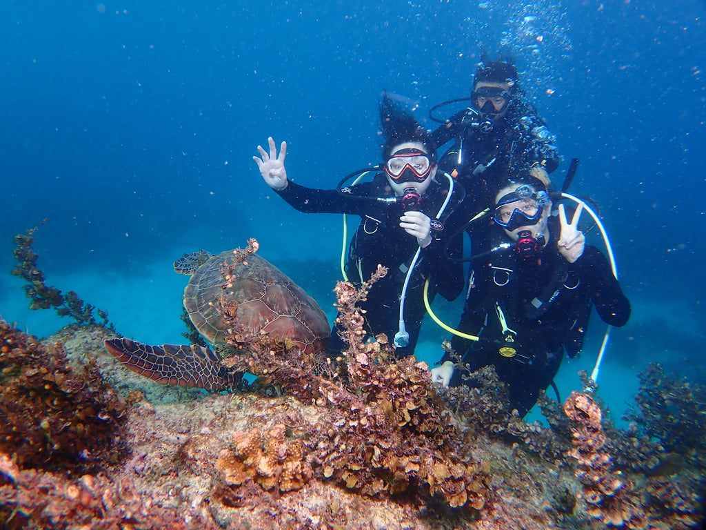 在小琉球潛水可以看到超級多海龜，絕對是潛水客必探訪的潛點之一！