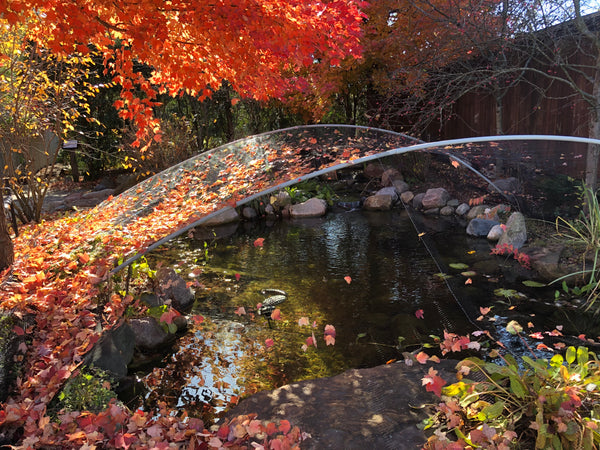 PREMIUM POND LEAF NETTING - 20ft X 25ft - 1/8in MESH - KWNP2025 - AZPonds &  Supplies