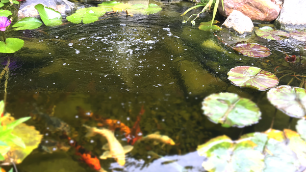 backyard pond aerator