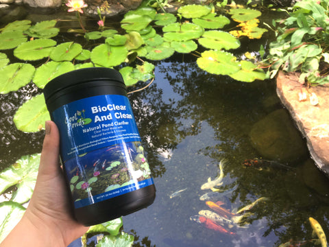 FILTER START - Fast biological (start up) of your pond filter and pond!