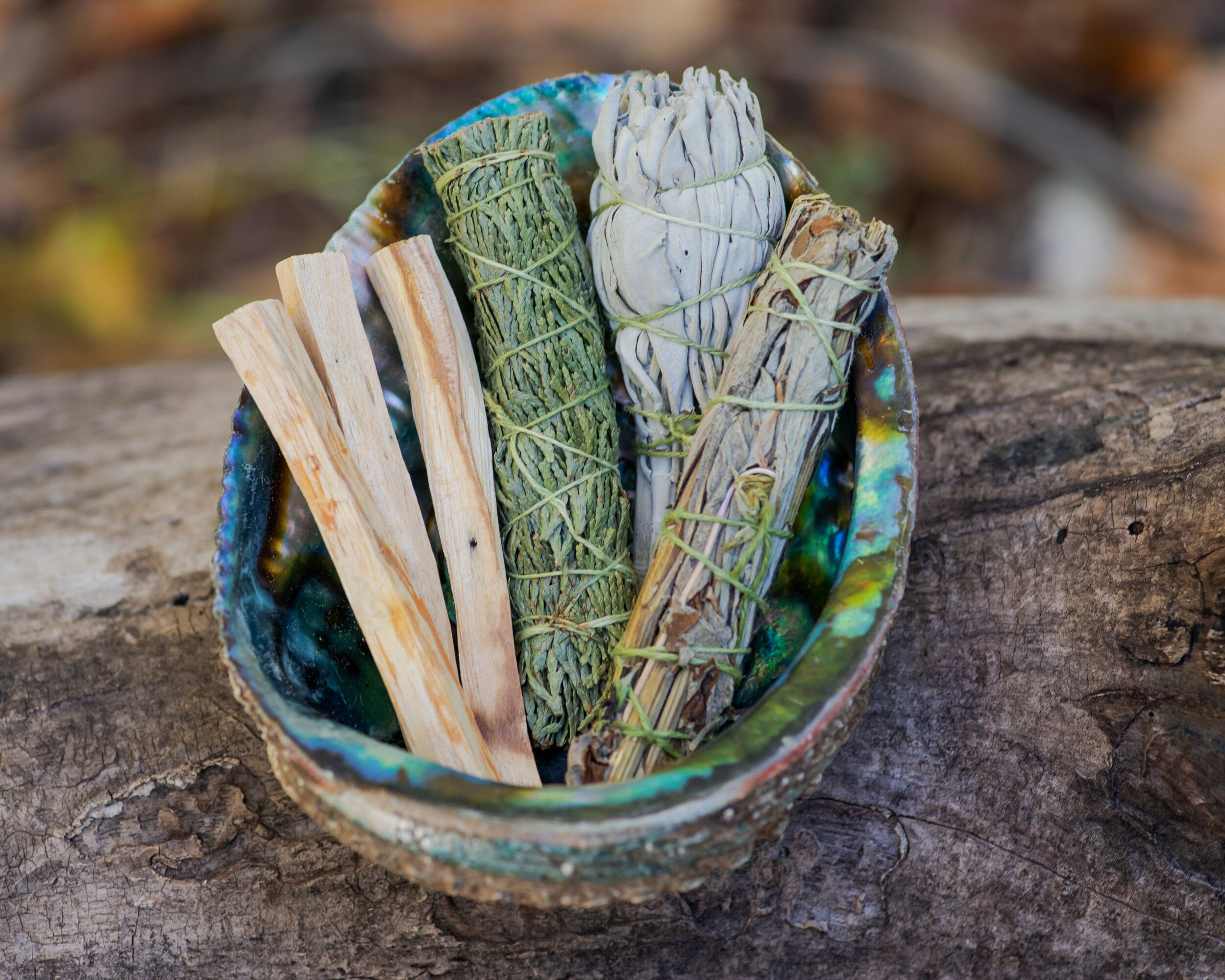 Canva - Smudge kit - Palo Santo sticks, Wildcrafted dried white sage (Salvia apiana), Mugwort (Artemisia vulgaris), and Siskiyou Cedar (Chamaecyparis lawsoniana), Abalone shell..jpg