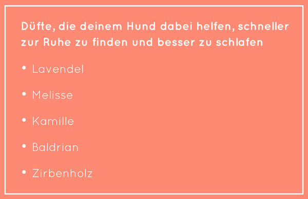 Düfte die deinem Hund dabei helfen, schneller zur Ruhe zu finden und besser zu schlafen: Lavendel, Melisse, Kamille, Baldrian, Zirbenholz