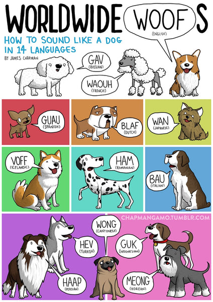 Hundesprache international