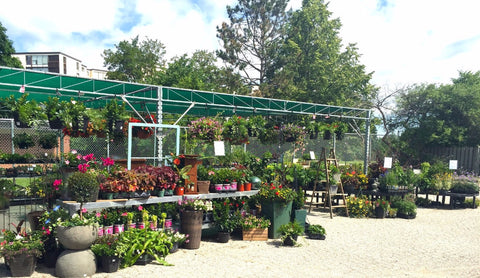 Fleuristic- Garden Centre is Open!