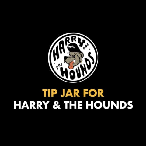 Harry and the Hounds - Release The Hounds Album Launch 2020