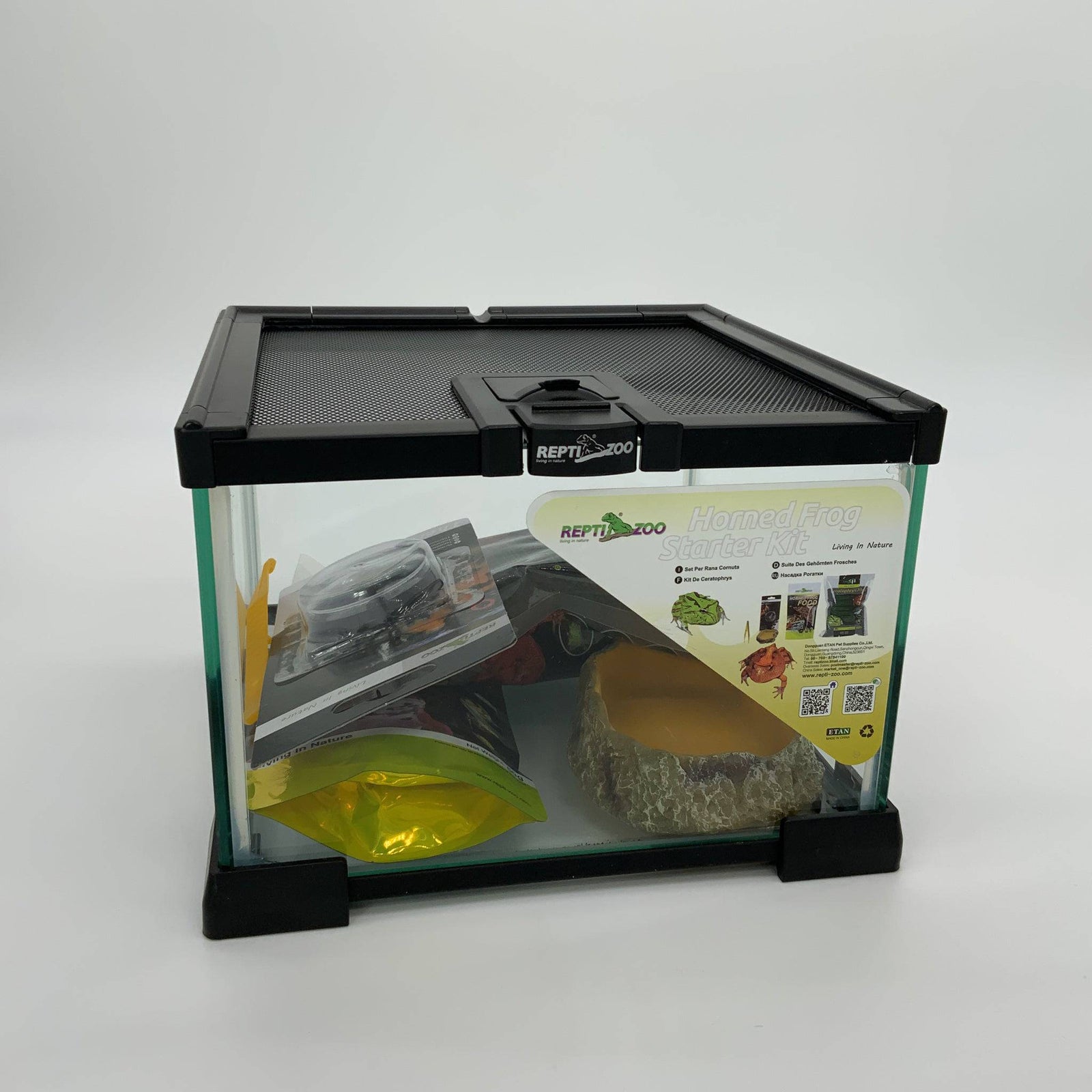 Terrarium Starter Kit – fleurdetroit