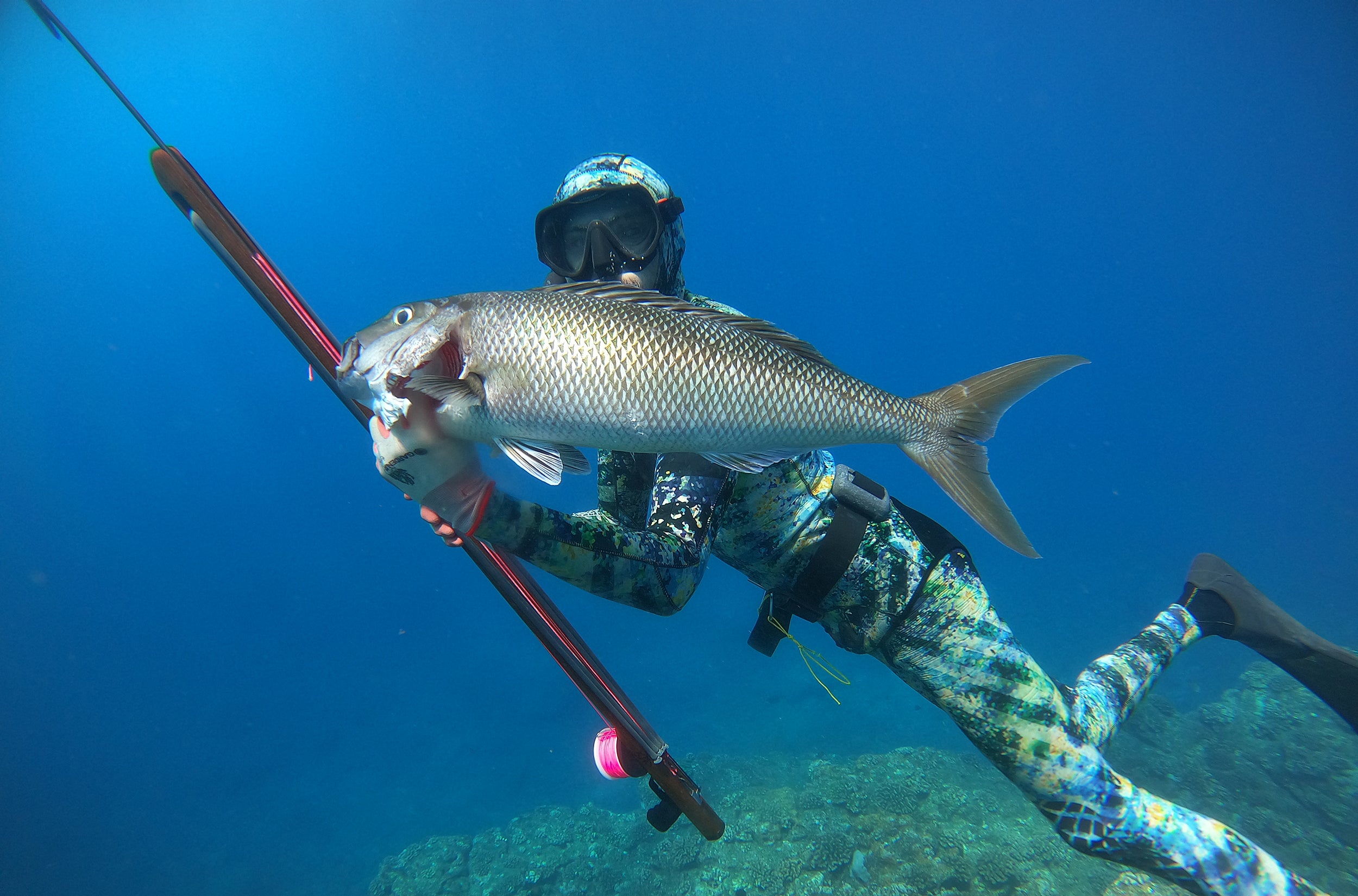 Matt Meola surfer fishing