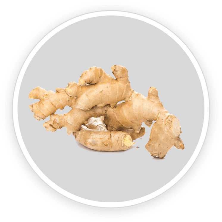 Aizen Power Ingredients Korean Ginseng.png__PID:f874ce10-0cc3-44ad-95b3-3a56ebad4c78