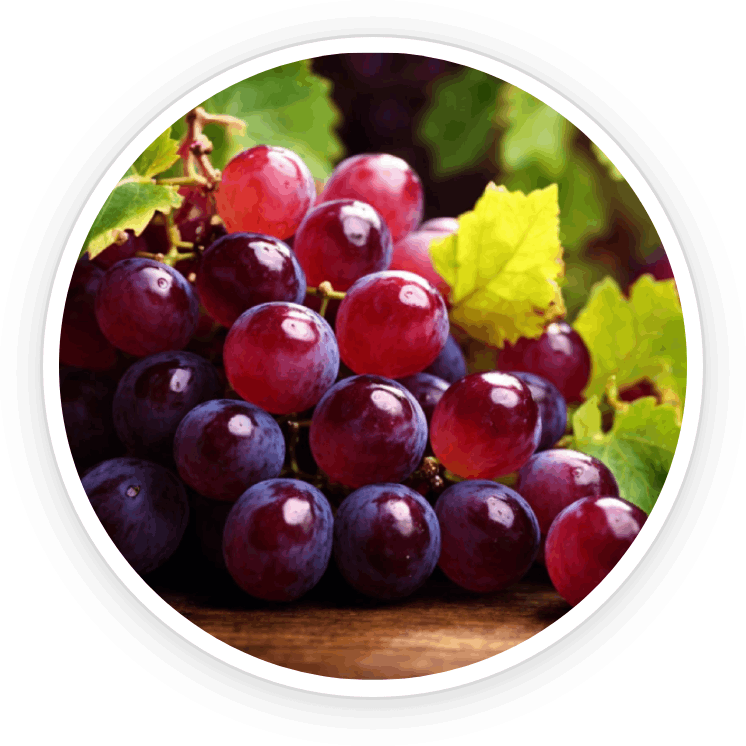 Aizen Power Ingredients Resveratrol.png__PID:ce100cc3-64ad-45b3-ba56-ebad4c78a0f7