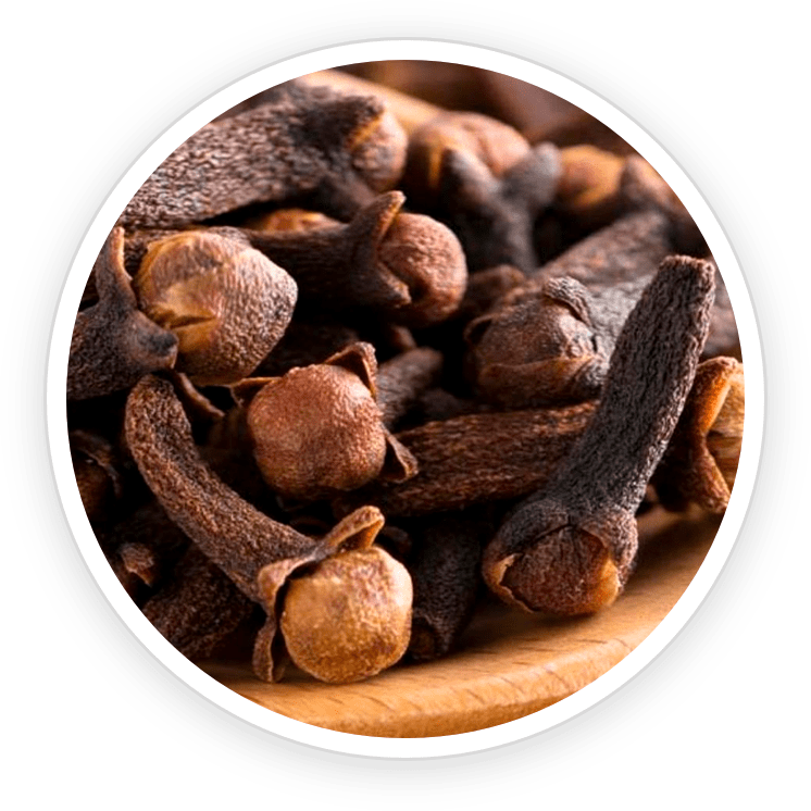 PowerBite ingredients clove oil.png__PID:797cb223-b321-4bf7-81d1-1ee56647a5e2
