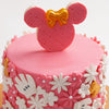 Cute Minnie Mouse First Birthday Cake