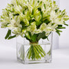 White Alstroemeria 30 Roses In Vase