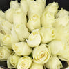 35 White Roses Bouquet
